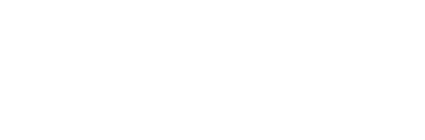 OAV™ – AI-powered vehicle discovery and market intelligence